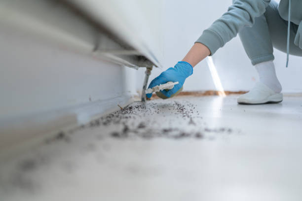 Best Pest Removal Services  in Macedonia, OH